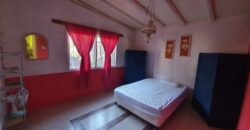 Panaholma, Ambientes Grandes y Excelente Ubicación