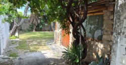 Viviendas Céntricas, Hermoso Parque, Detalles a Reciclar