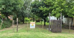 Lote: Zona Residencial a Metro de Rio Panaholma