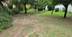 Lote: Zona Residencial a Metro de Rio Panaholma